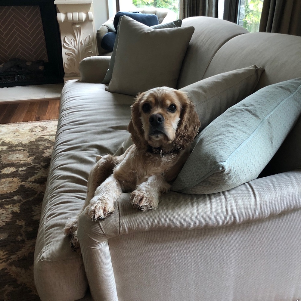 Meet your Posher, Isabella